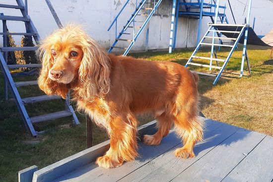 Фото пресс-службы УФСИН по Хакасии